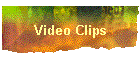 Video Clips