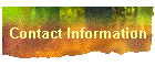 Contact Information